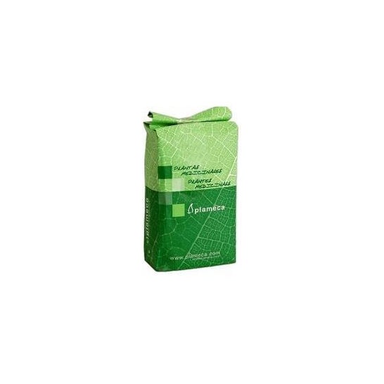Plameca Pino Abeto Yemas Trituradas 1kg