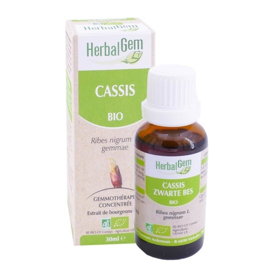 Herbalgem Concentrado de Grosella Negra Macerada BIO 30ml