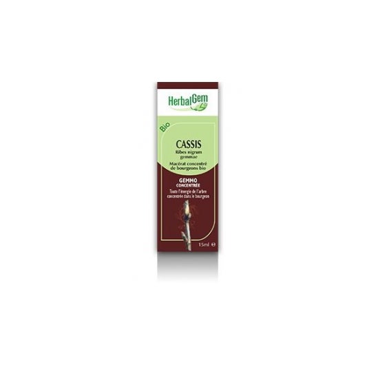 Herbalgem Concentrado de Grosella Negra Macerada BIO 30ml