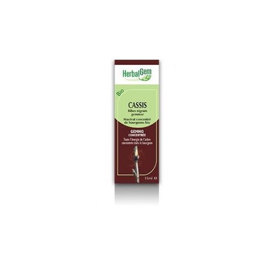Herbalgem Concentrado de Grosella Negra Macerada BIO 30ml