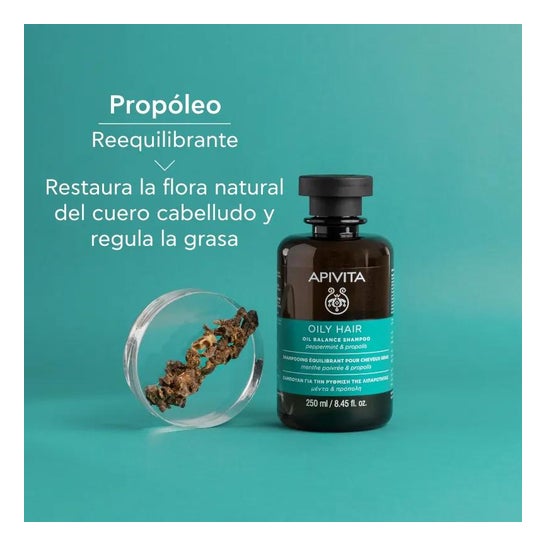 Apivita Oily Hair Champú Equilibrante para Cabello Graso 250ml