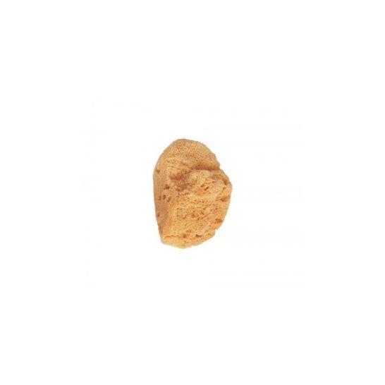 Beter Esponja de Baño Natural Marina 1 ud