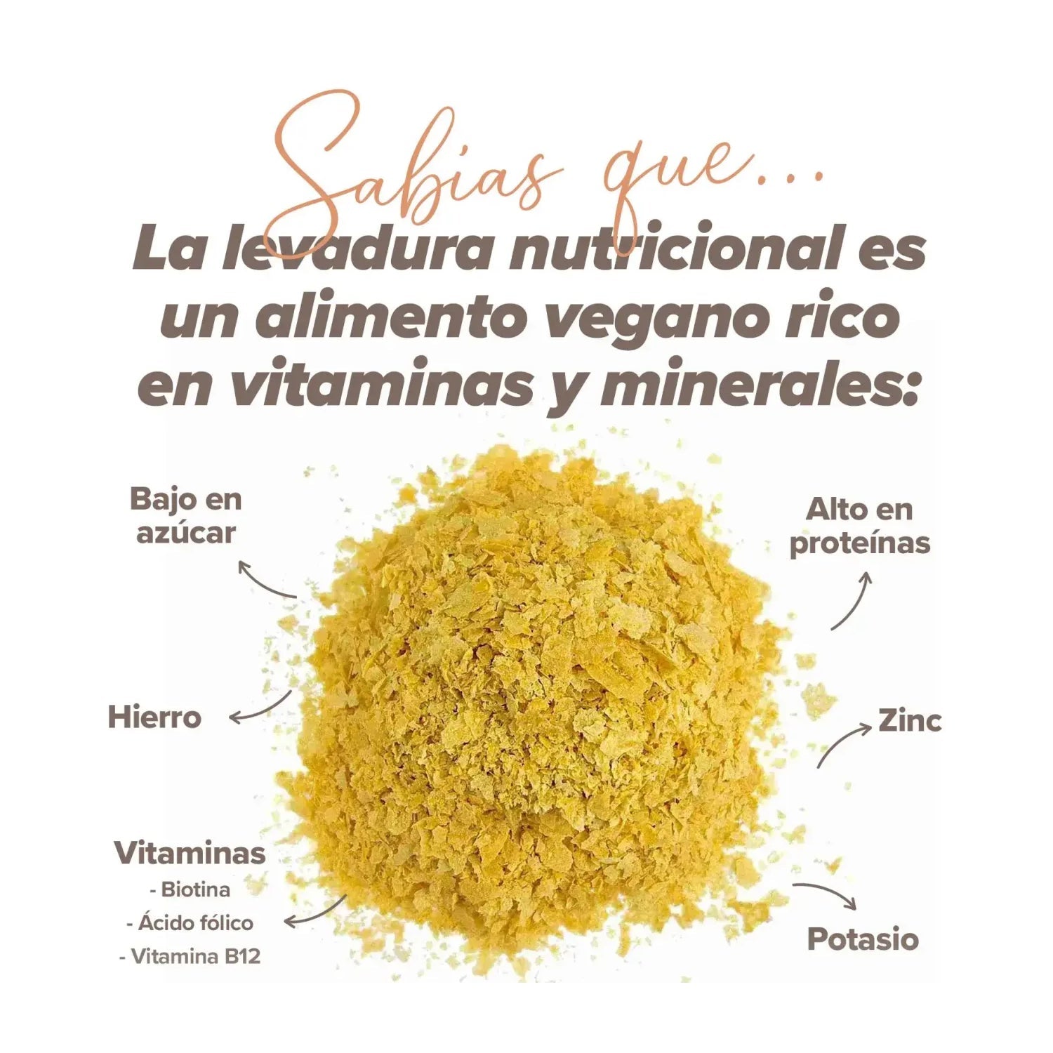 HSN Levadura Nutricional Engevita® en Copos 150g