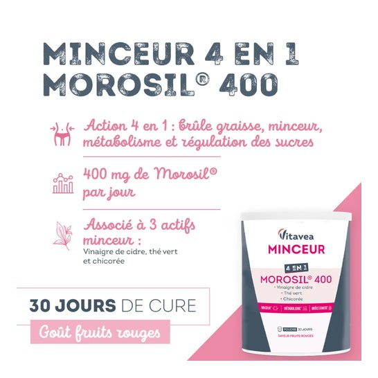Vitavea Adelgazante 4 en 1 Morosil 400 240g