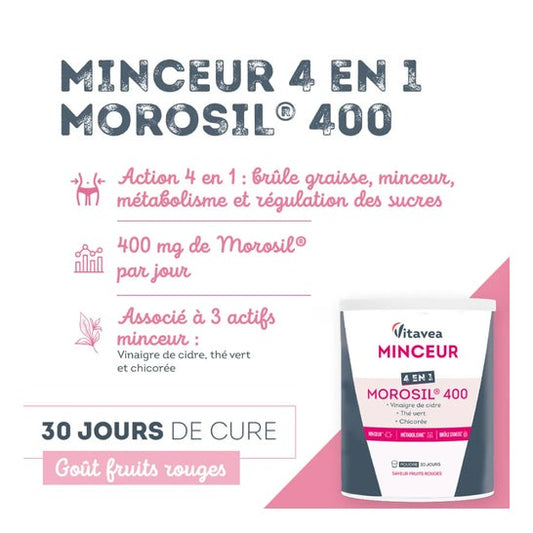 Vitavea Adelgazante 4 en 1 Morosil 400 240g