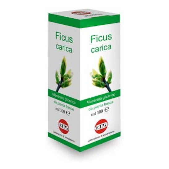 Kos Gotas de Macerado Glicérico de Ficus Carica 100ml