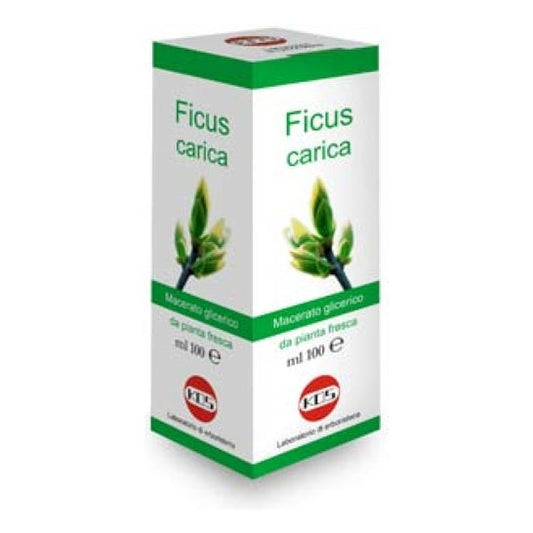 Kos Gotas de Macerado Glicérico de Ficus Carica 100ml