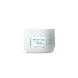 Terpenic Goma Xantana 550g
