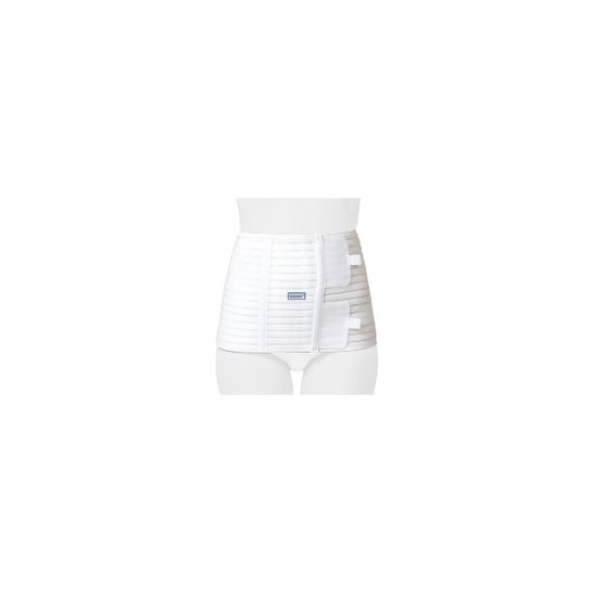 Orliman C/Abdobelt 25Cm T2