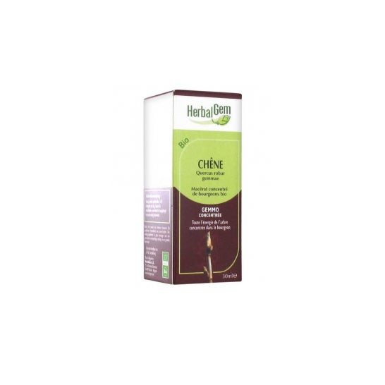 Herbalgem Roble Macerado Concentrado 30ml