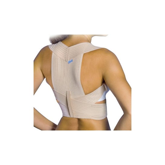 Prim Espaldillera Transpirable 335 T-M 1ud