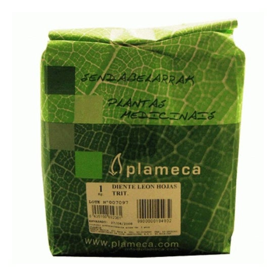 Plameca Diente Leon Hoja Triturada 1Kg