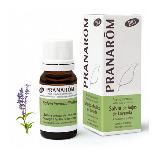 Pranarôm Aceite Esencial de Salvia de Hojas de Lavanda BIO 10 ml