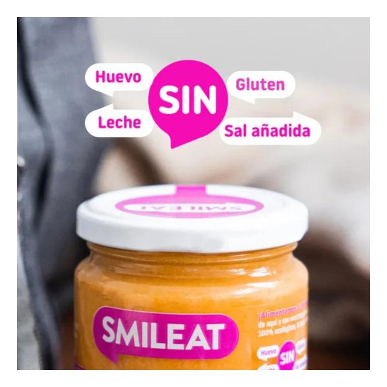Smileat Tarrito Ecológico de Pavo con Verduras 230g