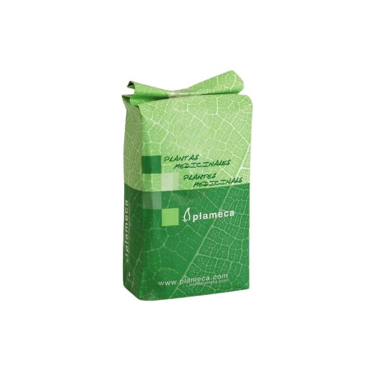 Plameca Menta Hierbabuena Común Entera 1Kg