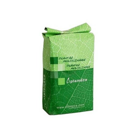 Plameca Melisa Hoja Triturada 1Kg