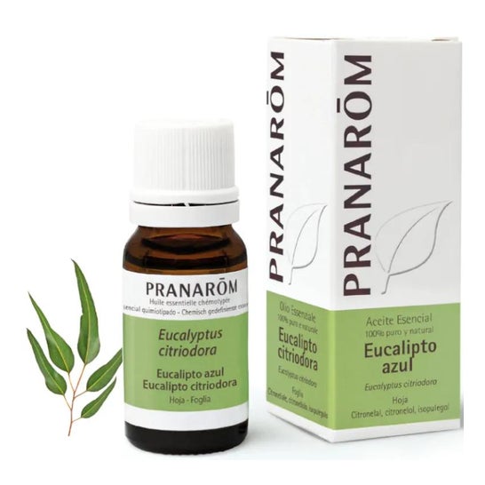 Pranarôm Aceite Esencial de Eucalipto Azul 10ml