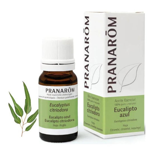 Pranarôm Aceite Esencial de Eucalipto Azul 10ml