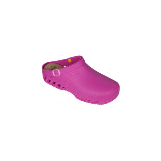 Clog Evo Tpr Unisex Fuch 37-38