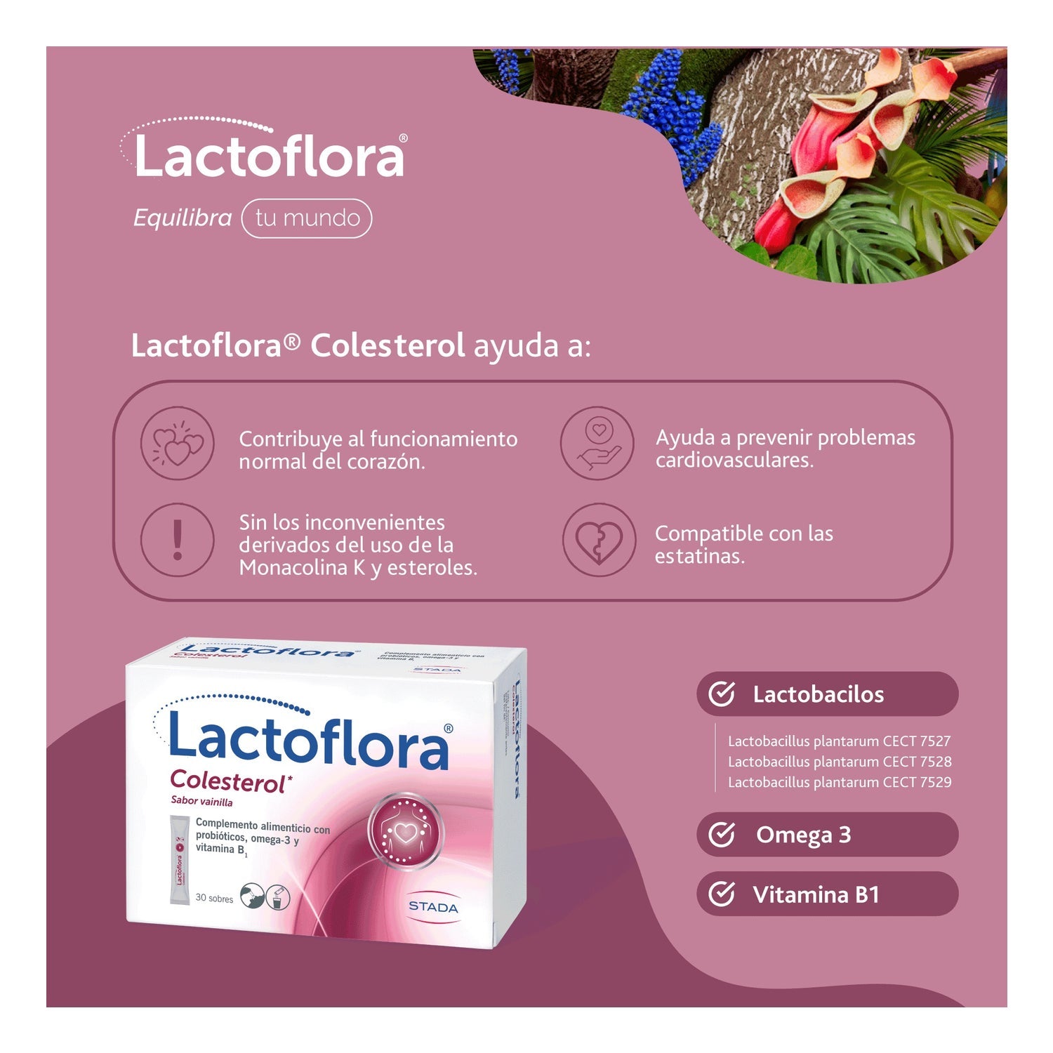 Lactoflora Colesterol Sabor Vainilla 30 sobres