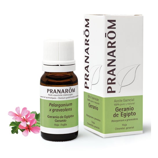 Pranarôm Aceite Esencial de Geranio de Egipto 10ml