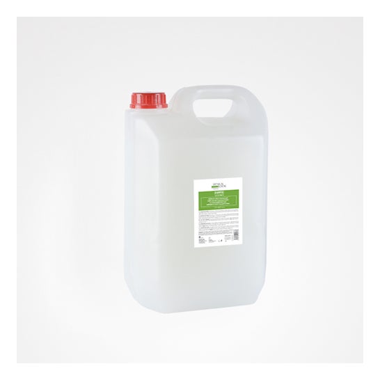 Design Look Champú Tutti Frutti 5000 ml