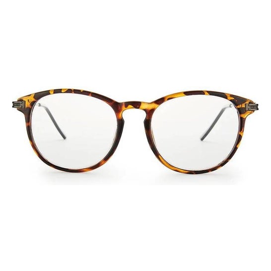 Nordic Vision Gafas Nassjo 2.00 1ud