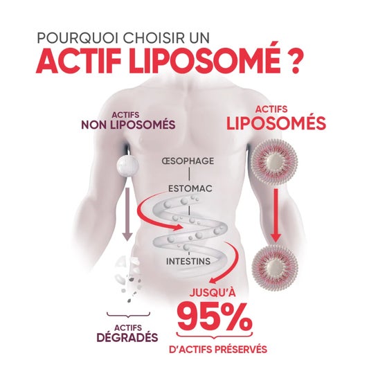 Prescription Nature Liposomia Vitaminas B Complex 30 Perlas