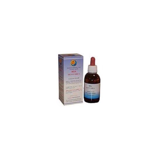 Herboplanet MSA Ficus Carica Gemas 50 ml