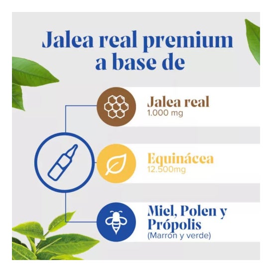 Arkopharma Arkoreal Inmunidad Equinácea Sin Azúcar 20 ampollas