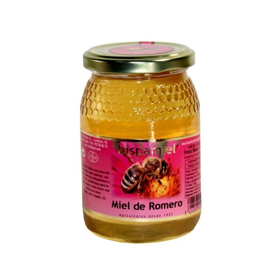 Hispamiel Miel De Romero 500g