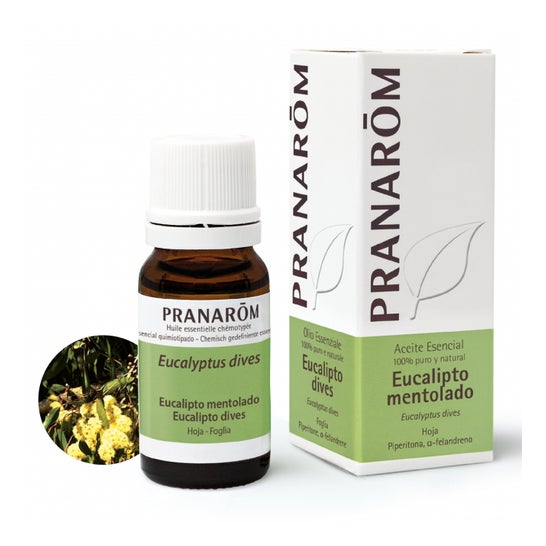 Pranarôm Aceite Esencial de Eucalipto Mentolado 5 ml