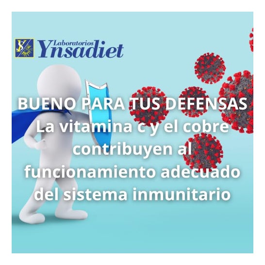 Ynsadiet Fitoprotect 20 Ampollas