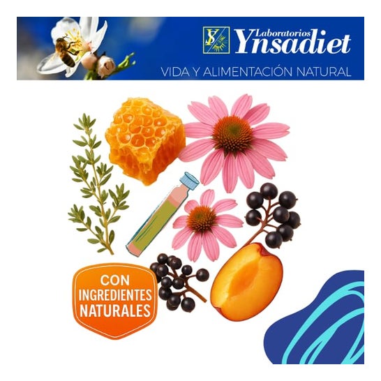 Ynsadiet Fitoprotect 20 Ampollas