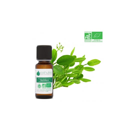 Voshuiles Aceite Esencial BIO de Ravintsara 10 ml