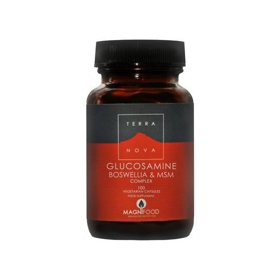 Terranova Glucosamina Boswelia Msm Complex 100caps