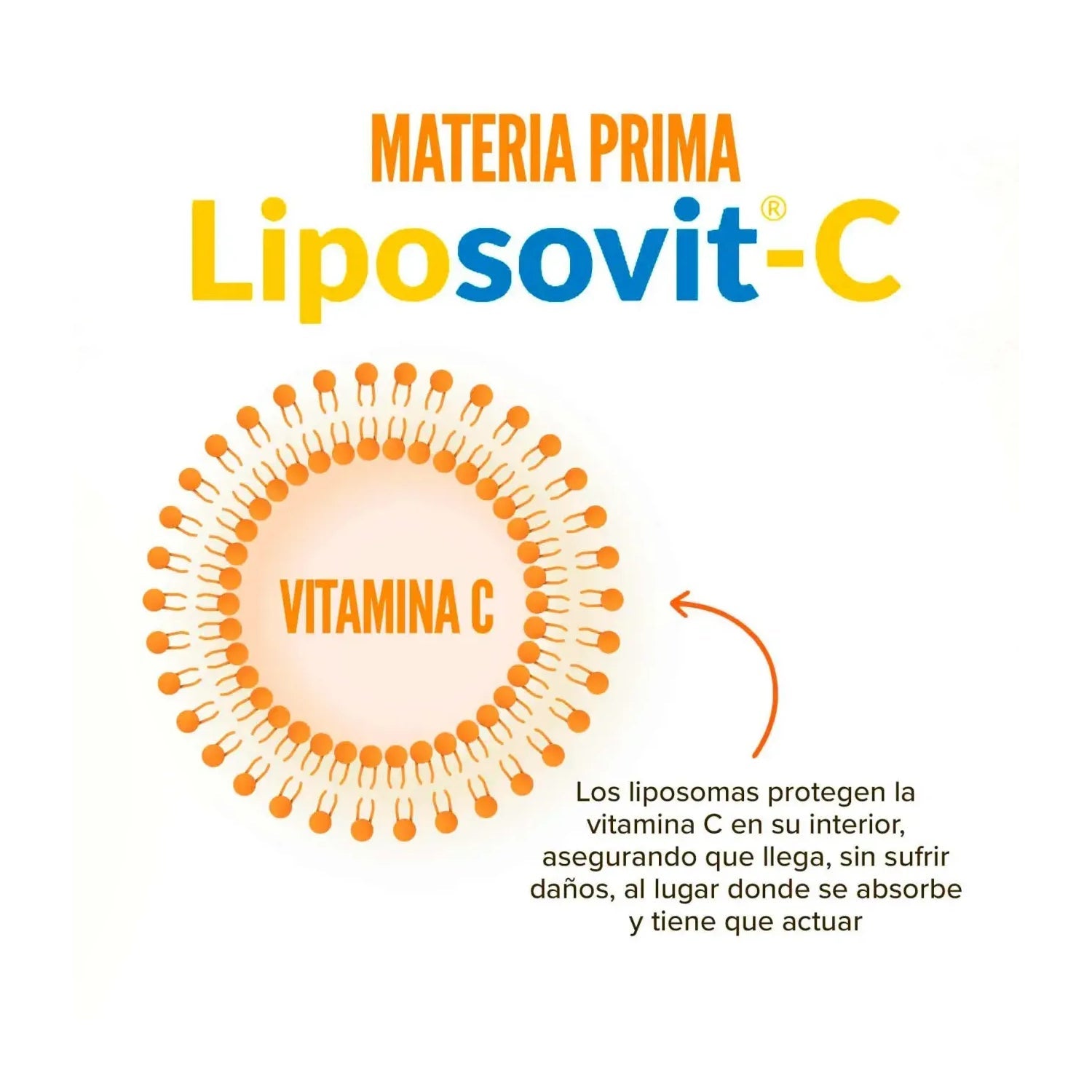 HSN Vitamina C Liposomada Liposovit® 500mg Vitamina C 120vcaps