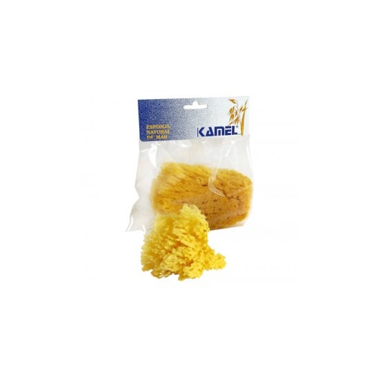 Kamel® esponja natural grande