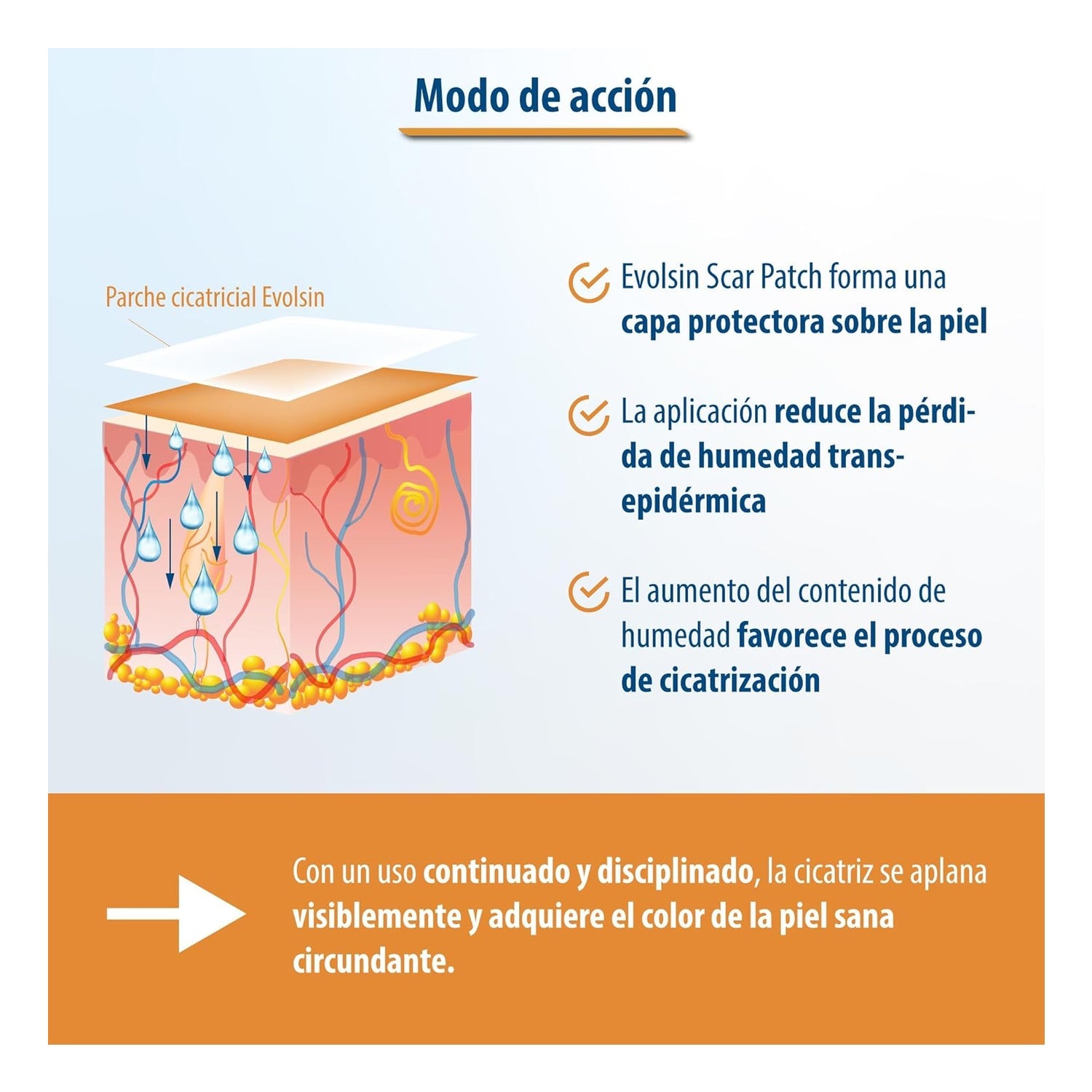 Evolsin Tiras Cicatrices 2m