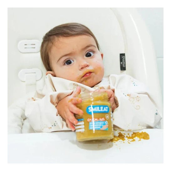 Smileat Tarrito Ecológico CA-CHI-TOS de Arroz Integral con Salmón y Guisantes 230g