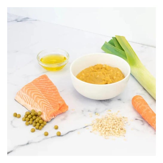 Smileat Tarrito Ecológico CA-CHI-TOS de Arroz Integral con Salmón y Guisantes 230g