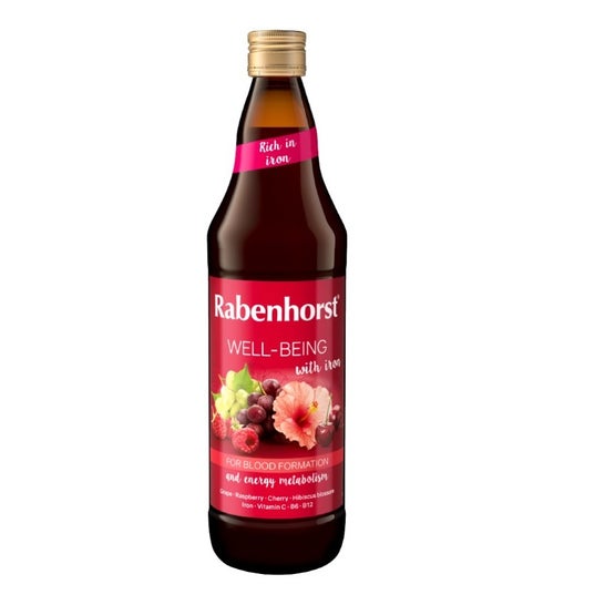 Rabenhorst Well-Being Zumo 750 ml