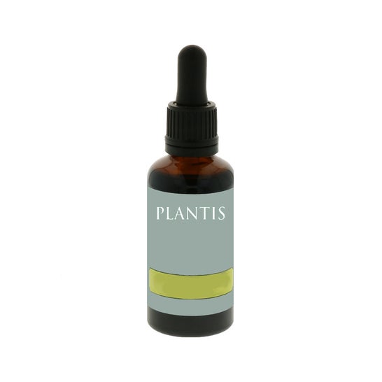 Maese Herbario Ext Harpagofito 50ml