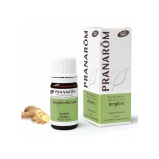 Pranarôm Aceite Esencial de Jengibre BIO 5 ml