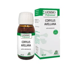 Sarandrea Corilio Avellana 60ml