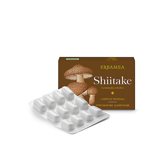 Erbamea Shiitake 24 caps