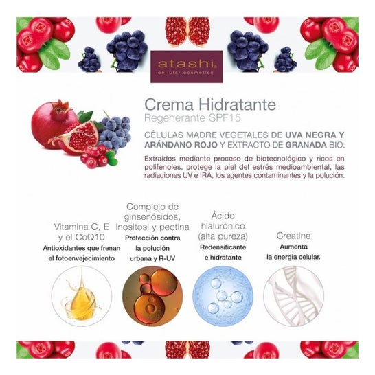 Atashi® Terapia Antioxidante Longévité Crema Hidratante Regenerante SPF15 50ml