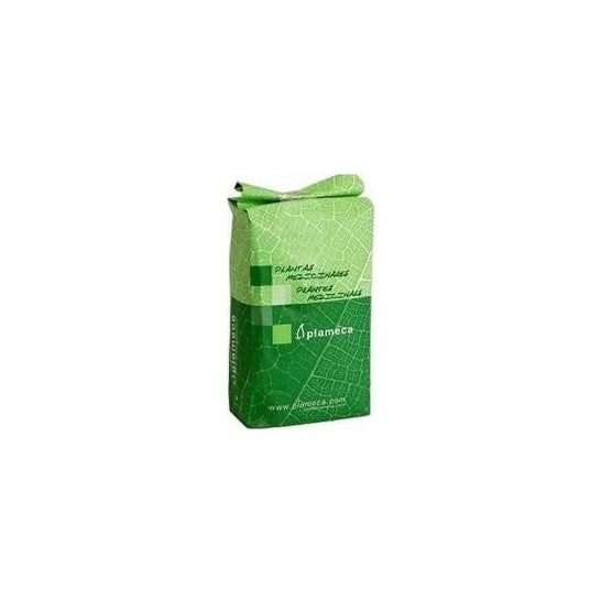 Plameca Harpagofito Triturado 1Kg