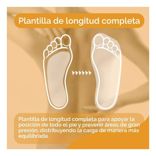 Scholl In-Balance Zona Lumbar Talla M 1par