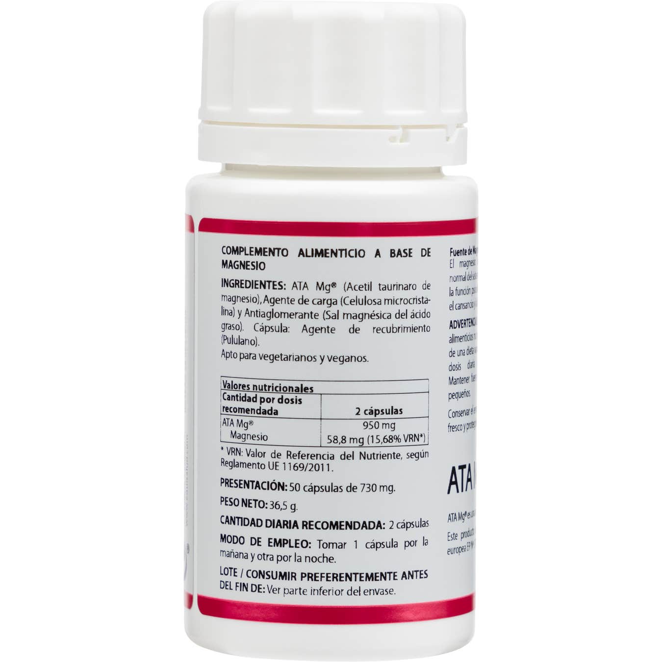 Equisalud Holomega Magnesio N-Acetil Taurina 50caps